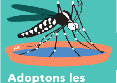 Moustiques tigres – Adoptons les bonnes pratiques