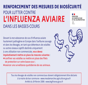 Influenza aviaire : renforcement des mesures de prévention pour les volailles de basses-cours