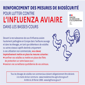 Influenza aviaire : renforcement des mesures de prévention pour les volailles de basses-cours