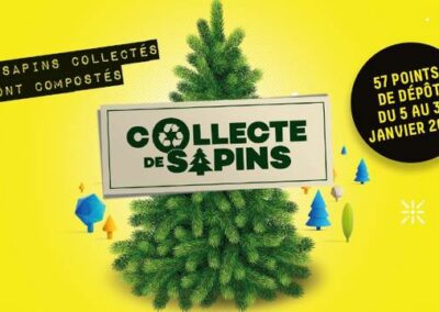 Opération Sapinou – Du 05 au 31 janvier – Points de collecte : Esplanade du 8 mai et Prémol