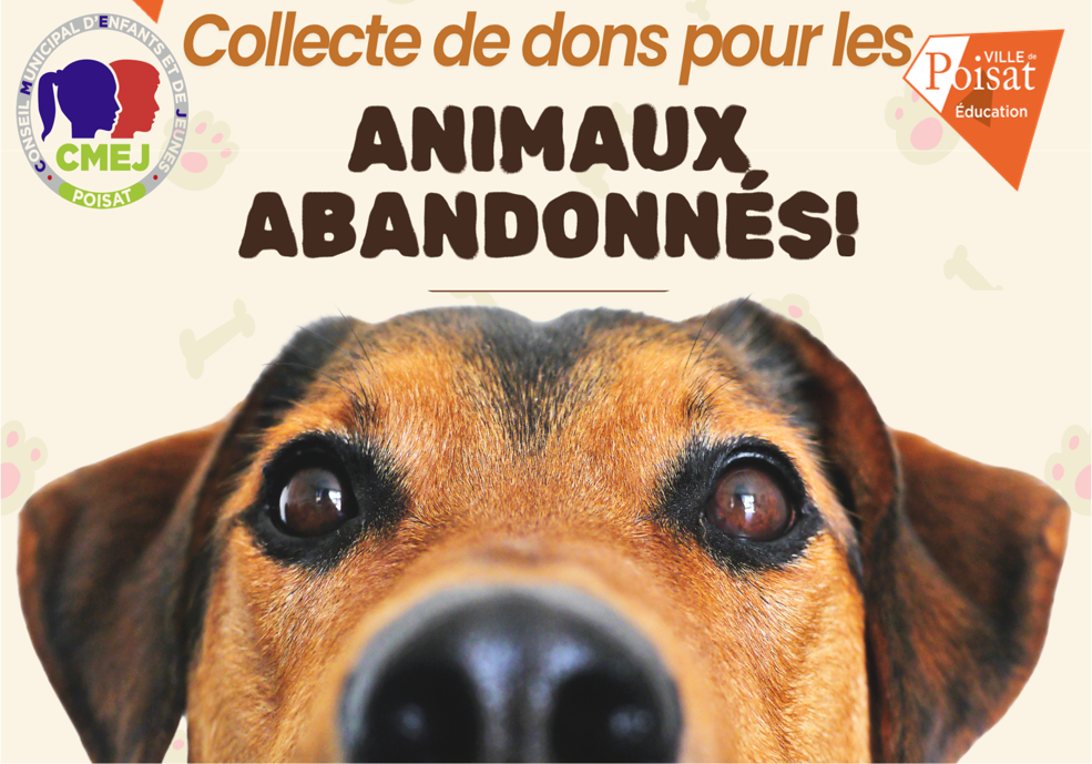 Collecte de dons pour les animaux abandonnés – Organisée par le CMEJ en partenariat avec La SPA du Dauphiné – jusqu&rsquo;au 24 juin