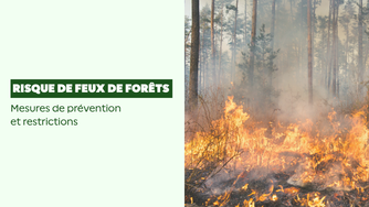 Risque élevé de feu de forêt et d&rsquo;espaces naturels